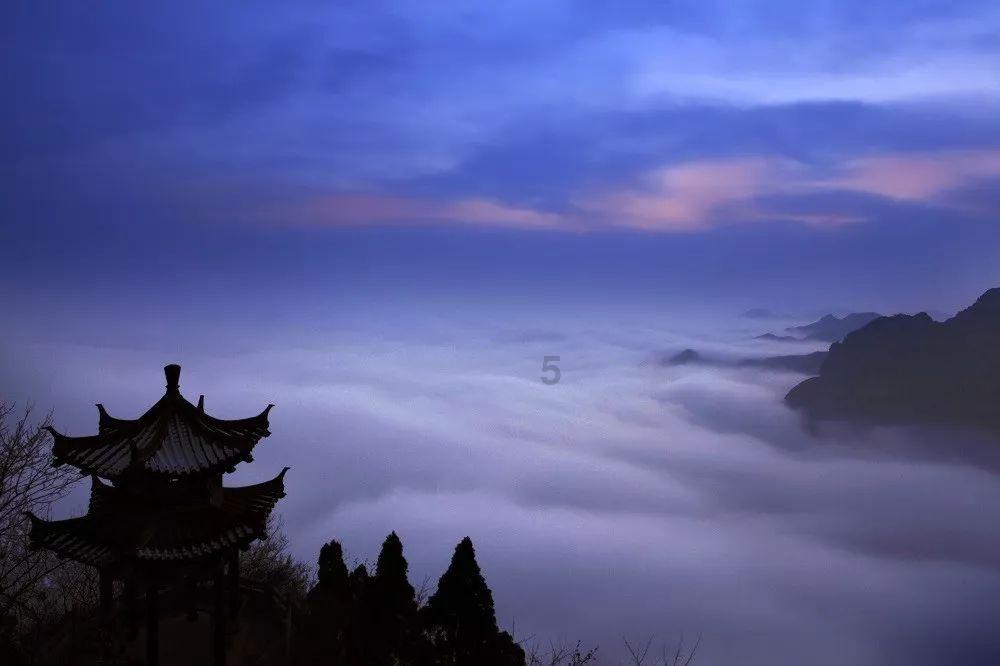动物帮帮忙保卫家园