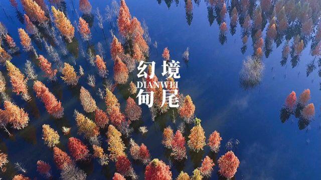 娱乐圈又一猛料，“京圈少爷”董子健和孙怡最终分手，你怎么看？游戏画面