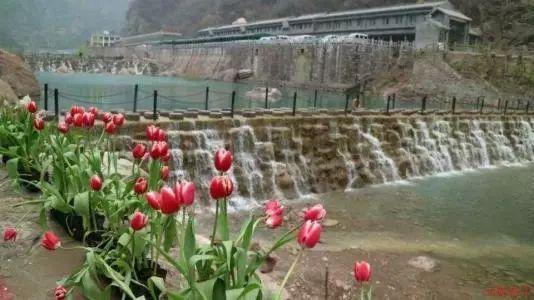 美媒：梅西参与的啤酒广告将会出现在今年的超级碗当中