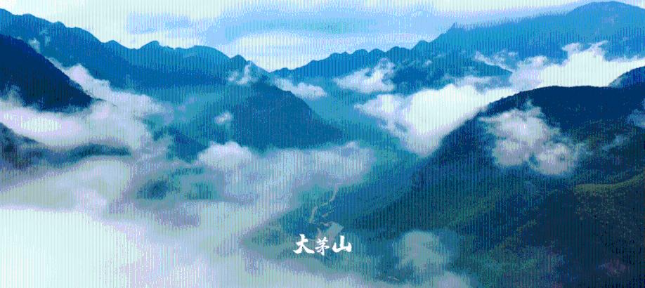 高中英语如何学习?底子再差也能提分的学法推荐!