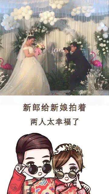 蚊子猎手