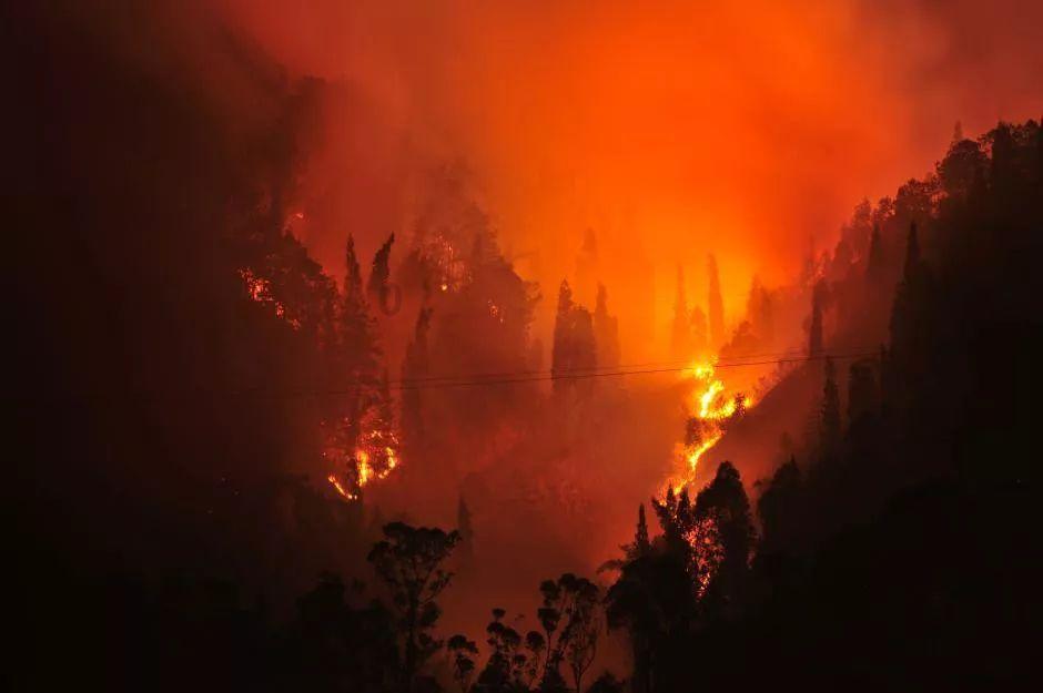 中央气象台继续发布寒潮蓝色预警,寒潮强势来袭,多地陆续降温