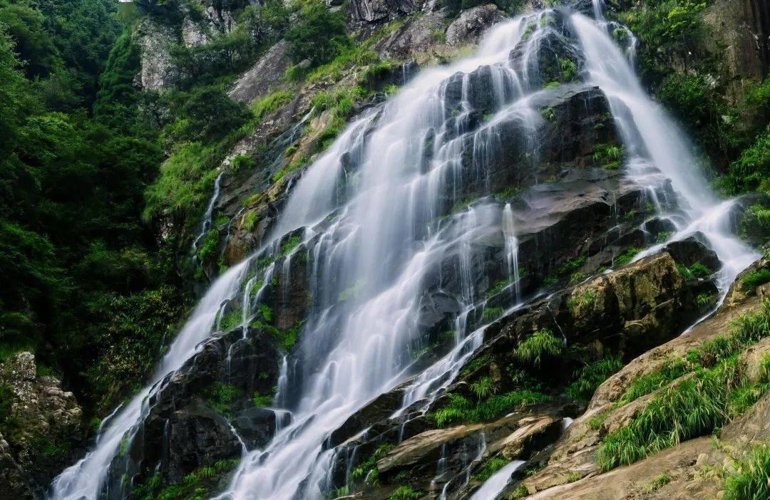模拟山羊