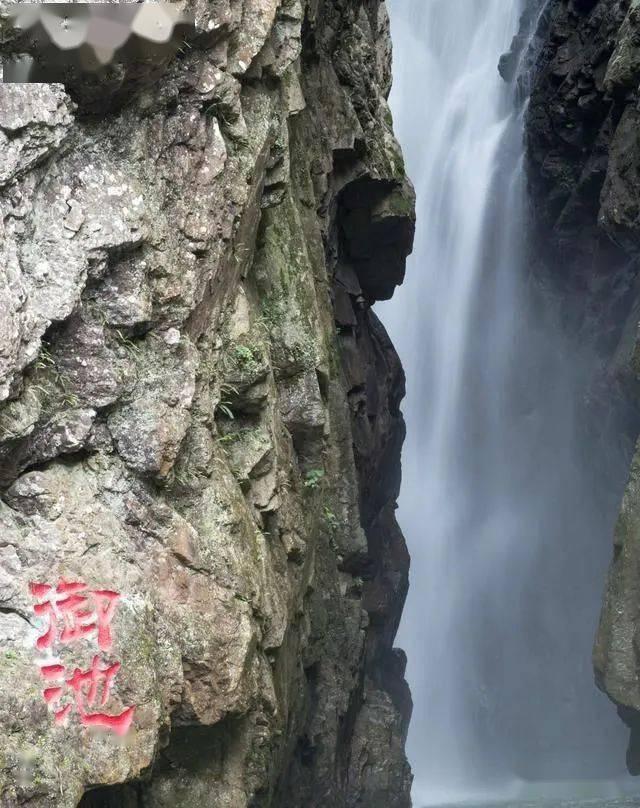 访正大集团邢继宪:小鸡蛋走向大产业需要“闯三关”
