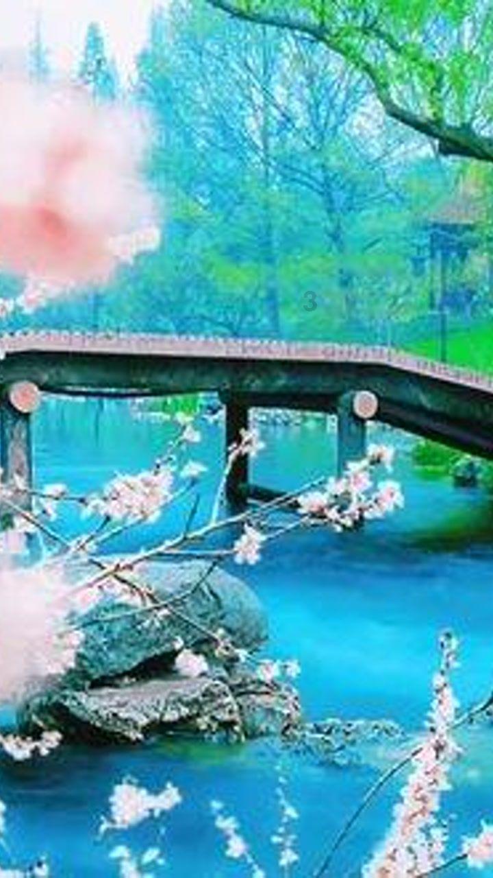 探索一代名将白起,为什么最后被秦王赐死?,发现你所需要的一切 | 红迪网